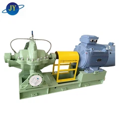 ڈبل سکشن پمپ